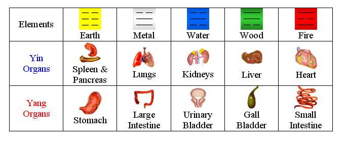 Chinese Medicine Emotions Organs Chart