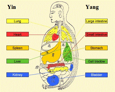 Internal Organ Meditation